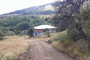 Friday Mosque Foundation Laying Ceremony