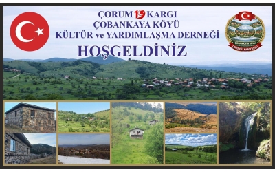 AFİŞ
